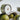 #duft_citrus-and-sea-salt