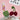 #variante_cherry-cowboy