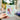 #variante_familien-schweif
