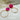 #farbe_magenta