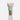 #variante_bloom