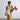 #farbe_cotton-ecru