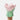 #variante_bloom