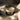 #duft_black-oud