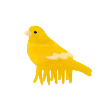 #motiv_kanarienvogel