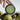 #duft_citrus-and-sea-salt