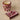 #design_heirloom-tomato