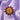#motiv_magische-sonne