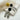 #farbe_schwarz-leo-beige