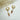 Perlen Ohrringe Elire Gold