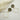#farbe_leo-beige
