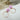 #farbe_rosa
