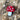 #motiv_mushroom