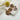 #farbe_leo-braun
