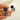 #farbe_schwarz-leo-beige