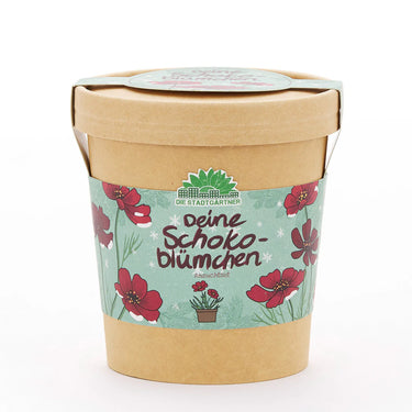 #motiv_schokoblumen-aus-dem-becher