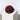 #farbe_solid-wine-red-pink