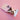 #variante_tierischer-witz