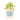 #motiv_ich-mag-dich-mit-all-deinen-karotten