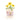 #motiv_schokoladenblume-fuer-dich