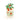 #motiv_tigertomate-fuer-dich
