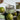 #duft_citrus-and-sea-salt
