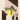 #motiv_hera-yellow