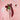 #variante_cherry-cowboy