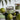 #duft_citrus-and-sea-salt