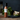 #sorte_parmesan-tomato-basil