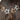 #variante_glitzer-gold-silber