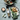 #sorte_mushroom