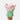 #variante_bloom