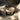 #duft_black-oud