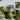 #duft_citrus-and-sea-salt