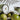 #duft_citrus-and-sea-salt