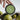 #duft_citrus-and-sea-salt