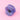 #motiv_anemone