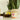 #design_orange-blossom