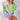 #variante_fuer-geschwister