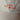 #farbe_creme-orange