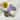 #farbe_flieder-leo-beige