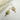 #farbe_beige-leo-braun