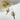 #farbe_beige-leo-braun