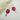#farbe_magenta-konfetti