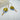#farbe_matchagruen-hellblau