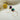 #farbe_cosmic-pop