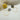 #farbe_leo-beige