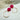 #farbe_magenta