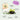 #motiv_viel-glueck-klee-strauss